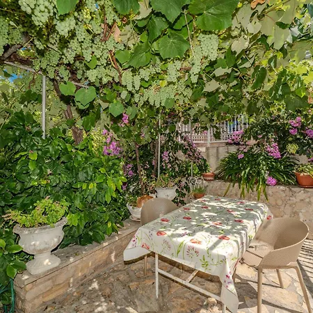 Vila Seaside Garden Kozino