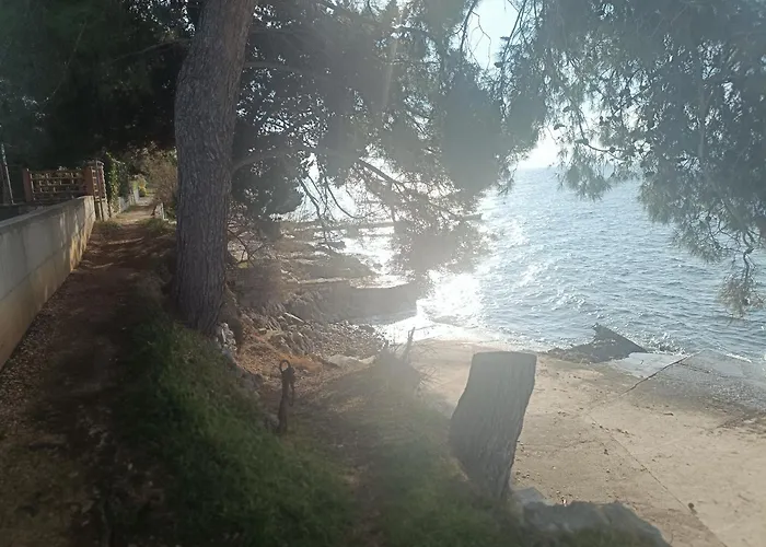 Seaside Garden Kozino