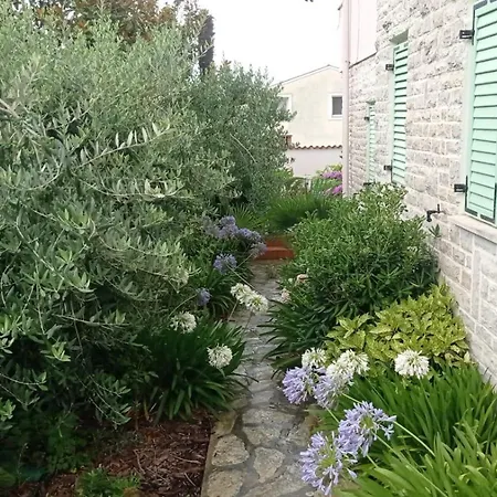 Seaside Garden