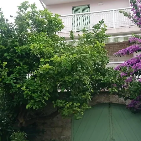 Seaside Garden Kozino
