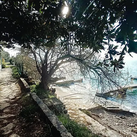 Seaside Garden Kožino
