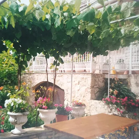 Seaside Garden * Kozino