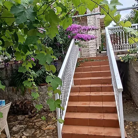 Villa Seaside Garden Kozino