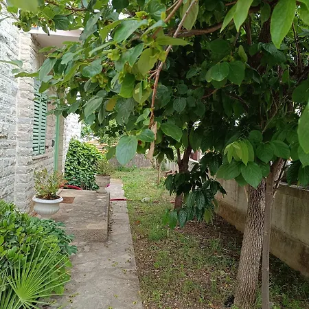 Seaside Garden Kožino