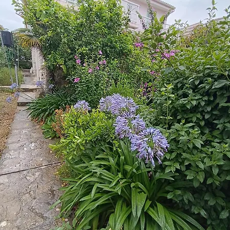 Seaside Garden * Kozino