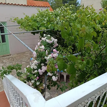 Seaside Garden