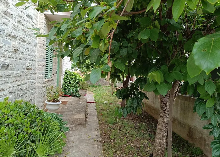 Seaside Garden Kozino